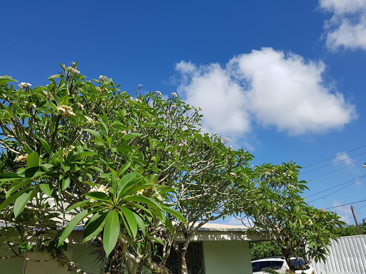 Saipan Family Residence Susupe Bagian luar foto